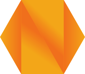 netsolution